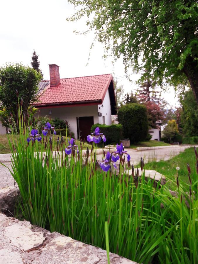 Centrum Wypoczynku Odys Tresna Exteriér fotografie